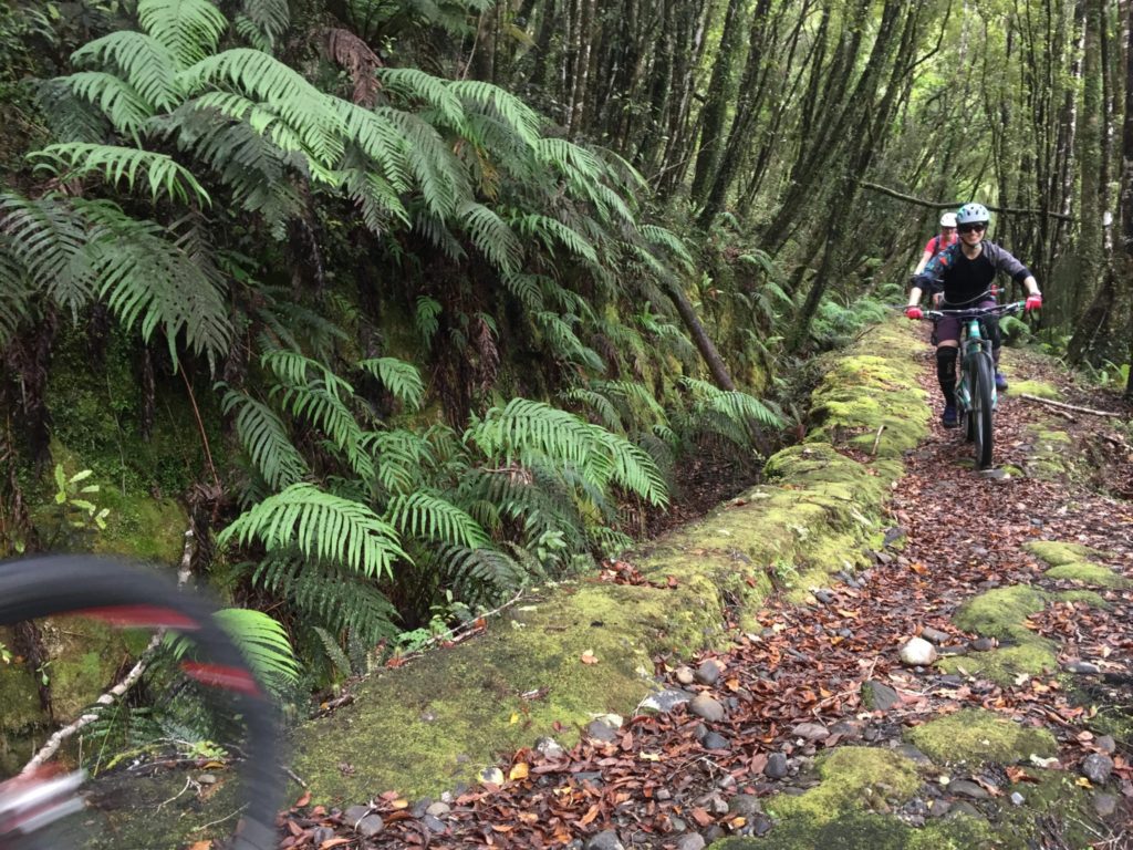 Mountain Bike New Zealand 